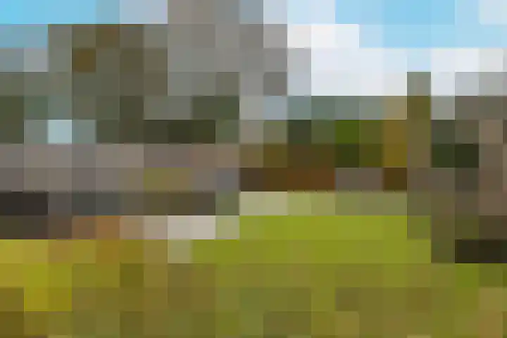 Ruitenheerhof 12 Sprundel thumbnail 6
