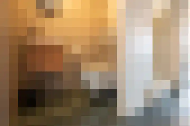 Ruitenheerhof 23 Sprundel thumbnail 7
