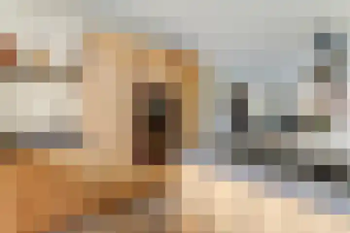 Ruitenheerhof 27 Sprundel thumbnail 11