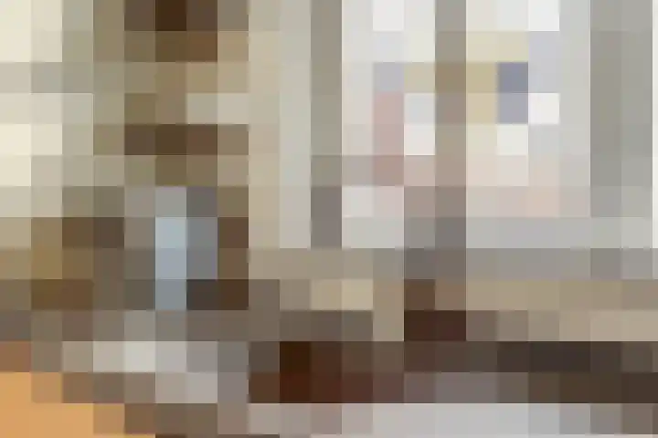Ruitenheerhof 27 Sprundel thumbnail 12