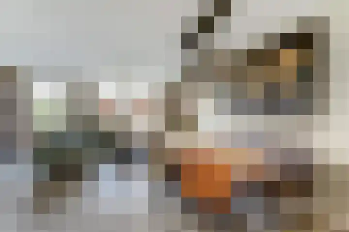 Ruitenheerhof 27 Sprundel thumbnail 14