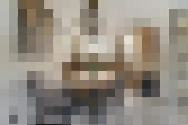 Ruitenheerhof 27 Sprundel thumbnail 15