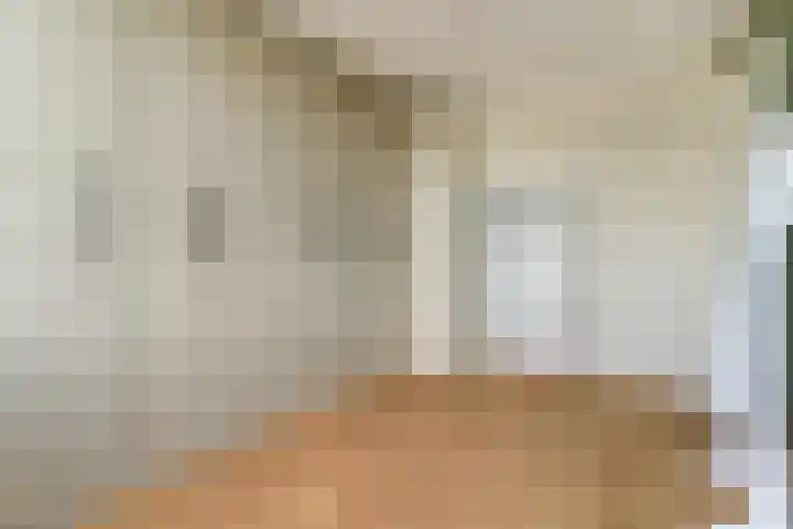 Ruitenheerhof 27 Sprundel thumbnail 19
