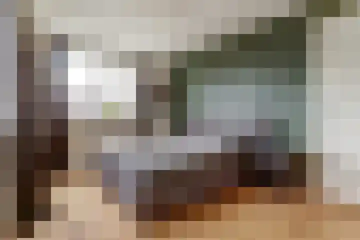 Ruitenheerhof 27 Sprundel thumbnail 21