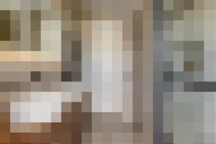 Ruitenheerhof 27 Sprundel thumbnail 27