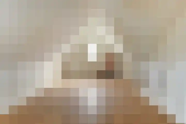 Ruitenheerhof 27 Sprundel thumbnail 29