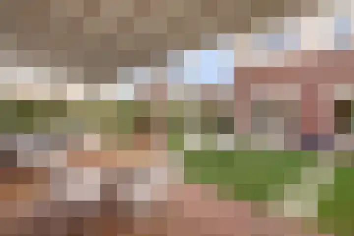 Ruitenheerhof 27 Sprundel thumbnail 38
