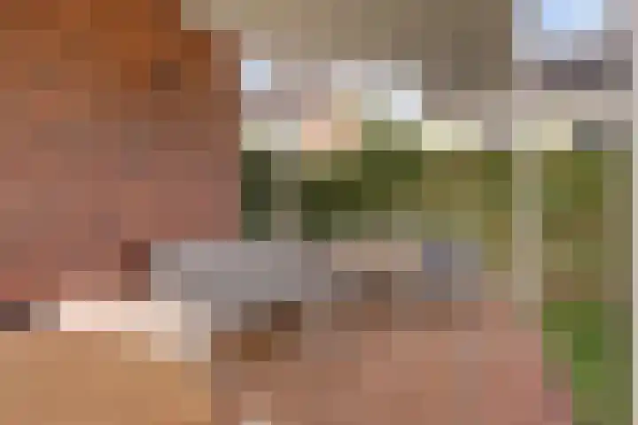 Ruitenheerhof 27 Sprundel thumbnail 39