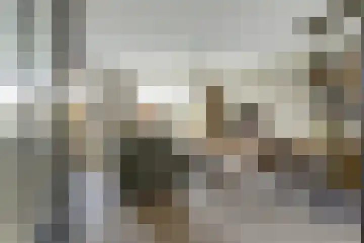 Ruitenheerhof 27 Sprundel thumbnail 4