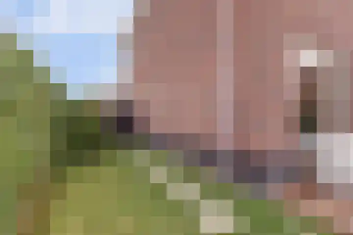 Ruitenheerhof 27 Sprundel thumbnail 42