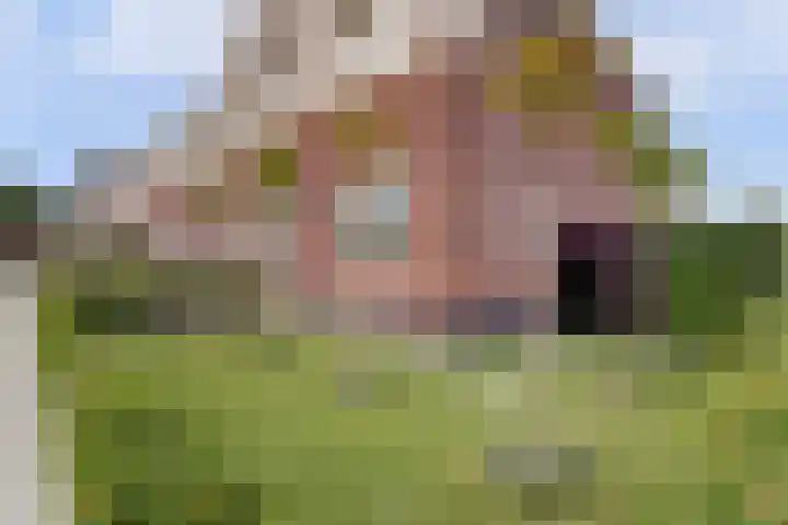 Ruitenheerhof 27 Sprundel thumbnail 43
