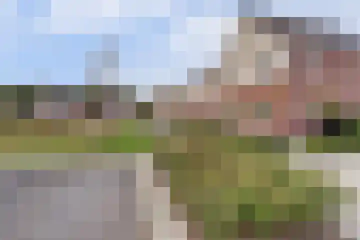 Ruitenheerhof 27 Sprundel thumbnail 44