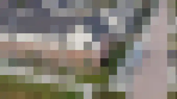 Ruitenheerhof 27 Sprundel thumbnail 51