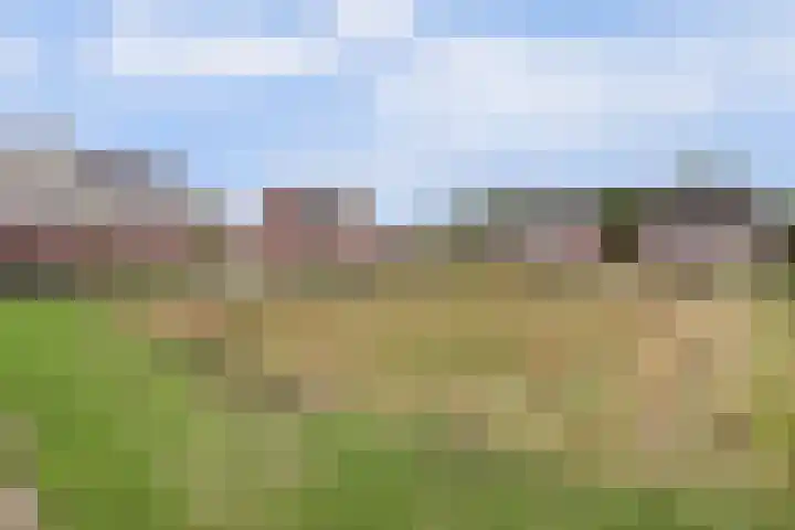 Ruitenheerhof 27 Sprundel thumbnail 55
