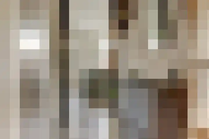 Ruitenheerhof 27 Sprundel thumbnail 7