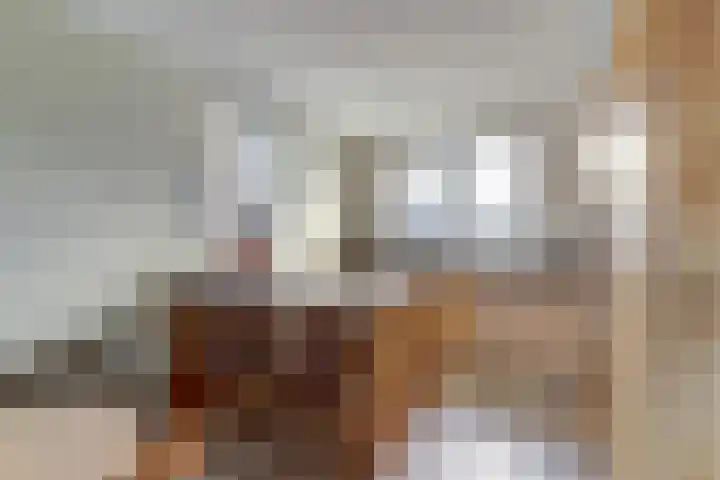 Ruitenheerhof 27 Sprundel thumbnail 8