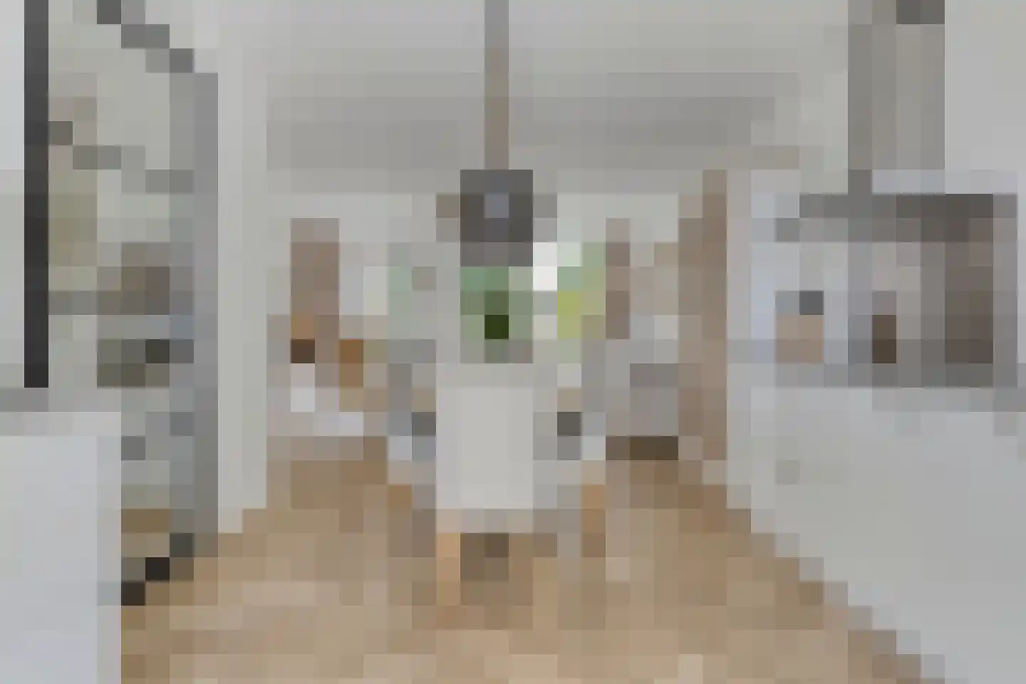 Ruitenheerhof 50 Sprundel thumbnail 10