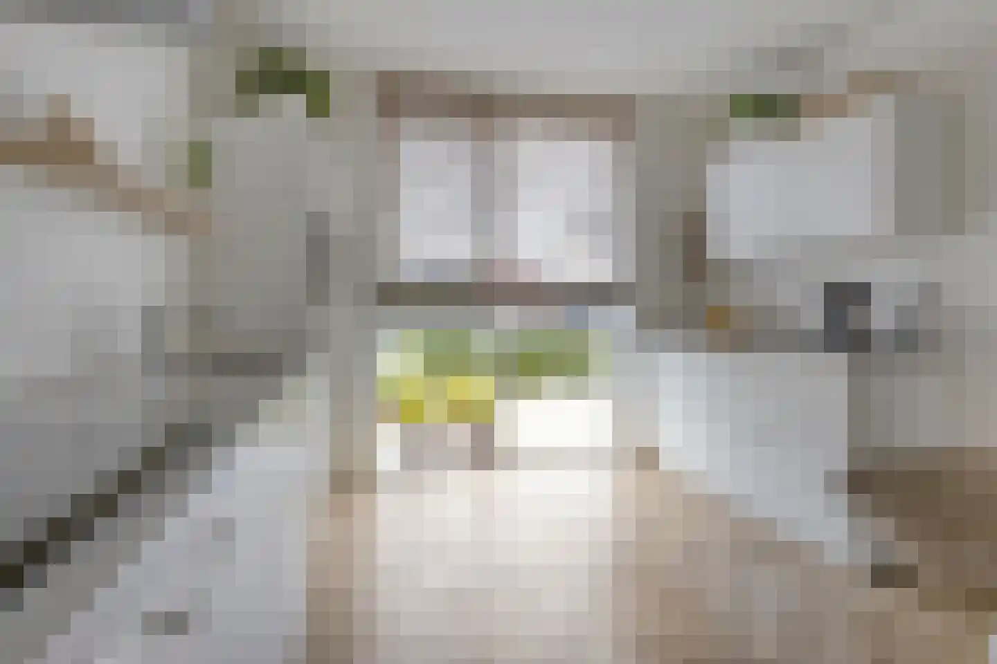 Ruitenheerhof 50 Sprundel thumbnail 12