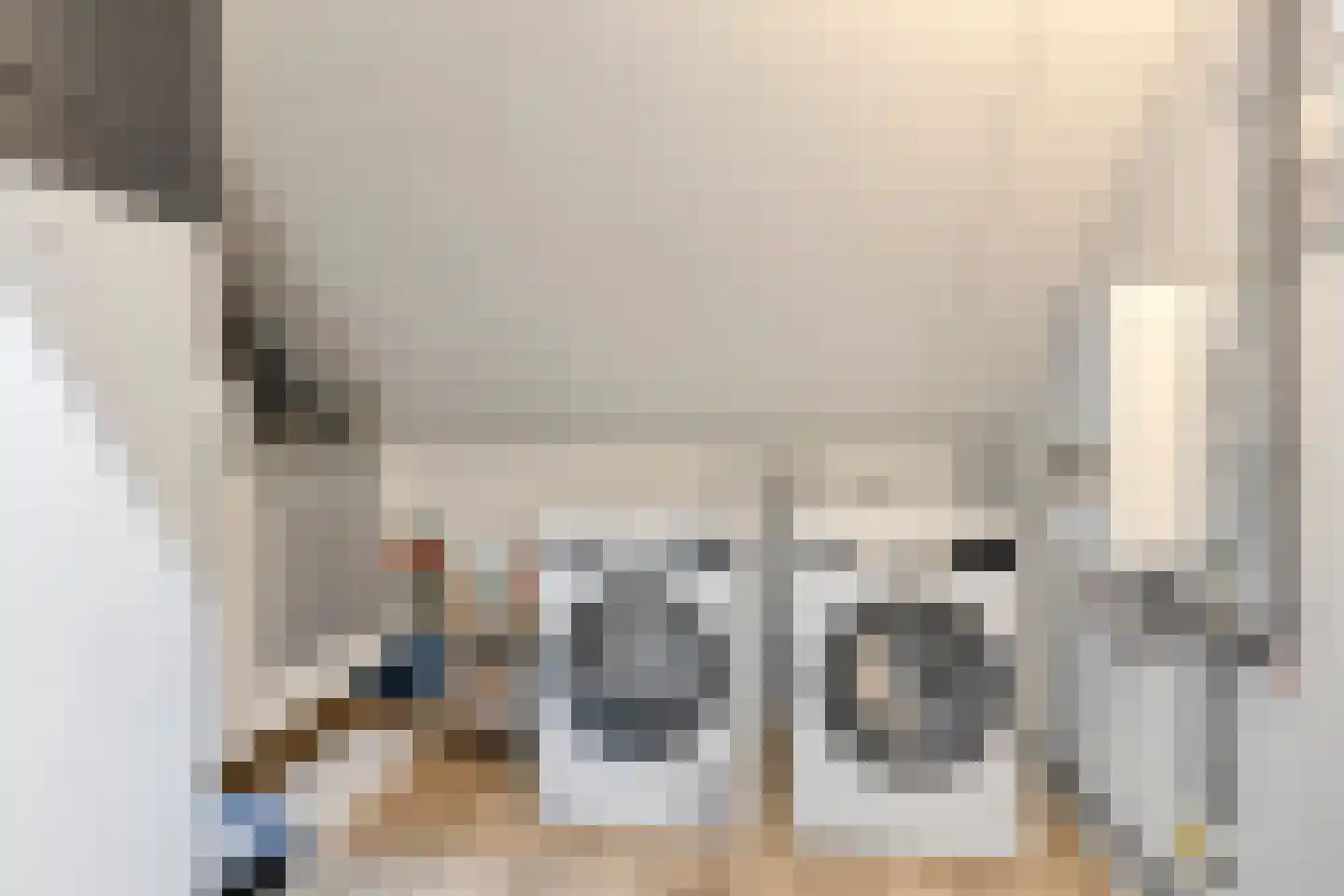Ruitenheerhof 50 Sprundel thumbnail 25