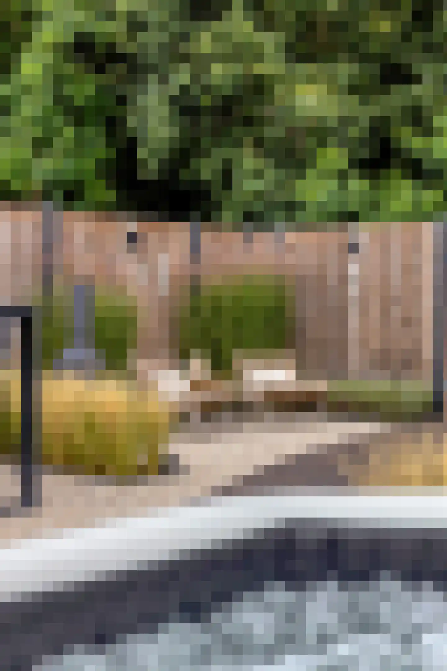 Ruitenheerhof 50 Sprundel thumbnail 29