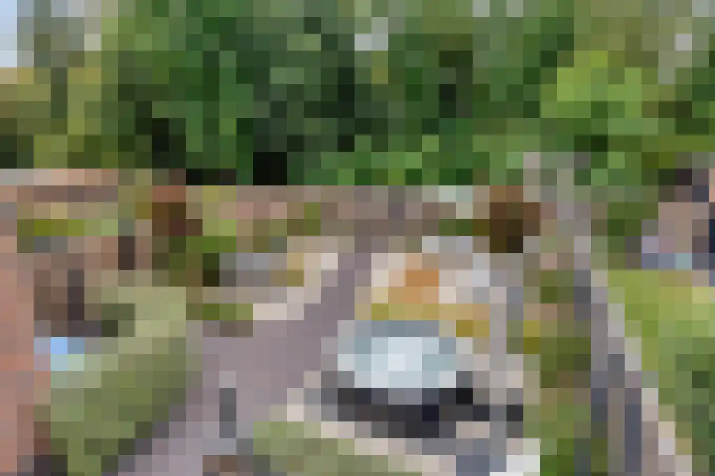 Ruitenheerhof 50 Sprundel thumbnail 32