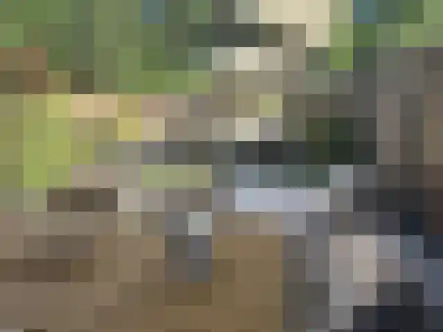 Ruitenheerhof 50 Sprundel thumbnail 34
