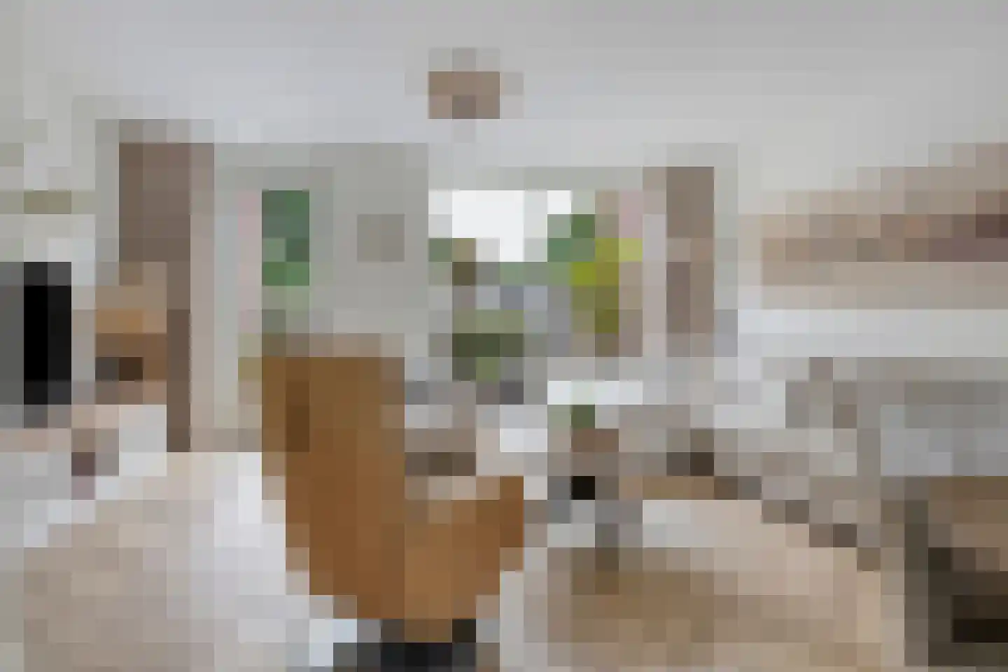 Ruitenheerhof 50 Sprundel thumbnail 5