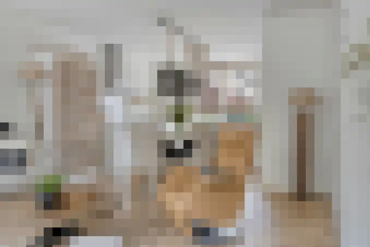 Ruitenheerhof 50 Sprundel thumbnail 8