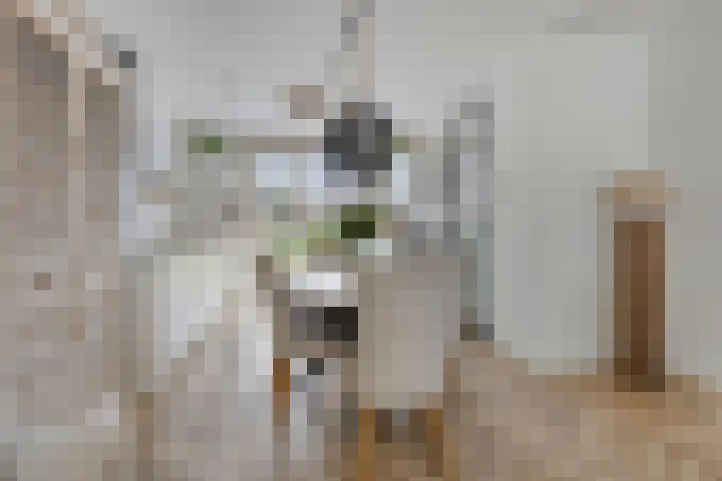Ruitenheerhof 50 Sprundel thumbnail 9