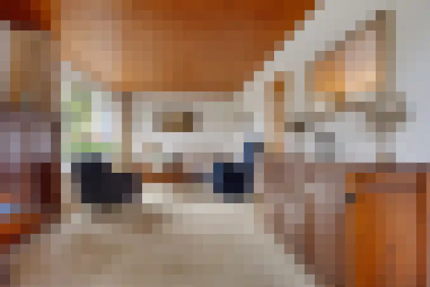 Ruitenkamp 29 Ter Apel thumbnail 15