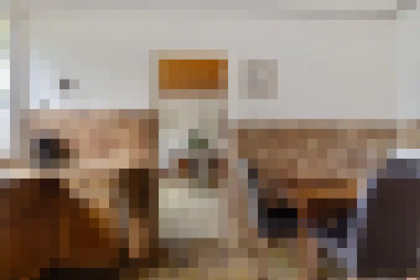 Ruitenkamp 29 Ter Apel thumbnail 19