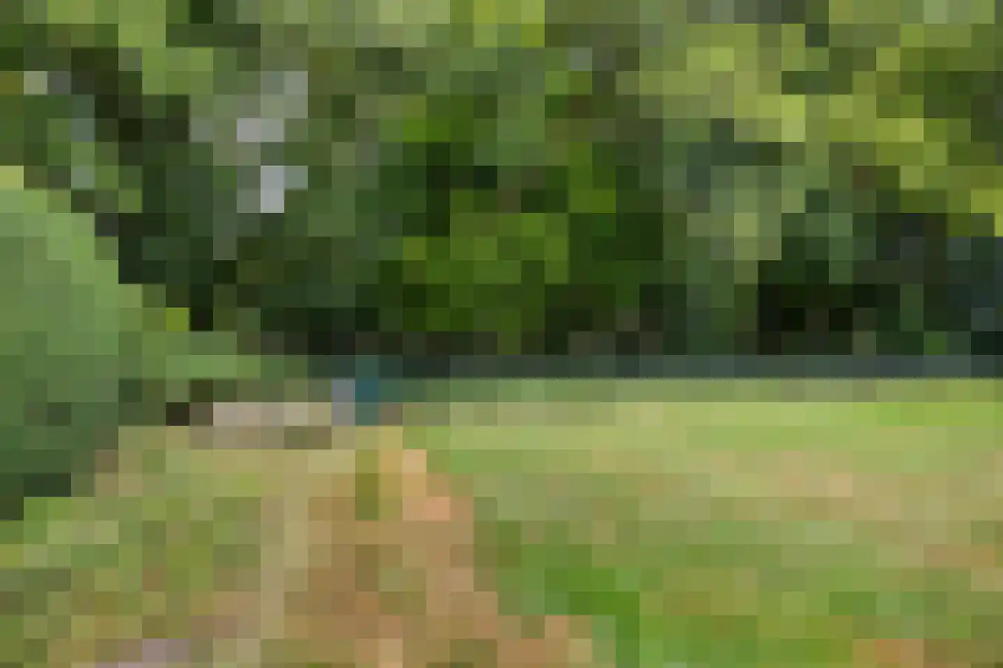 Ruitenkamp 29 Ter Apel thumbnail 40