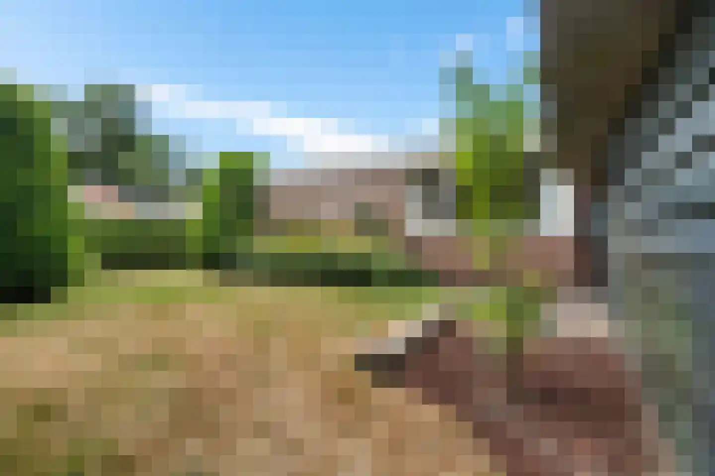 Ruitenkamp 29 Ter Apel thumbnail 42