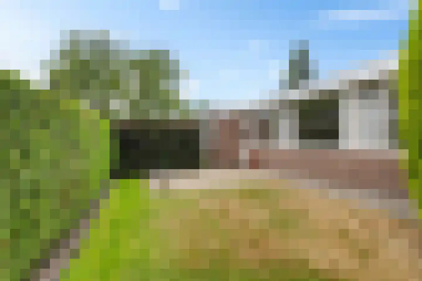 Ruitenkamp 29 Ter Apel thumbnail 45