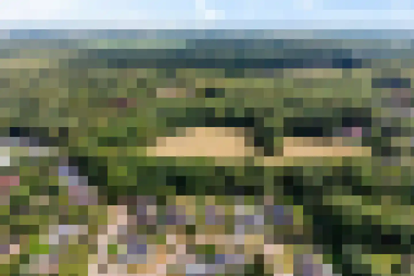 Ruitenkamp 29 Ter Apel thumbnail 49