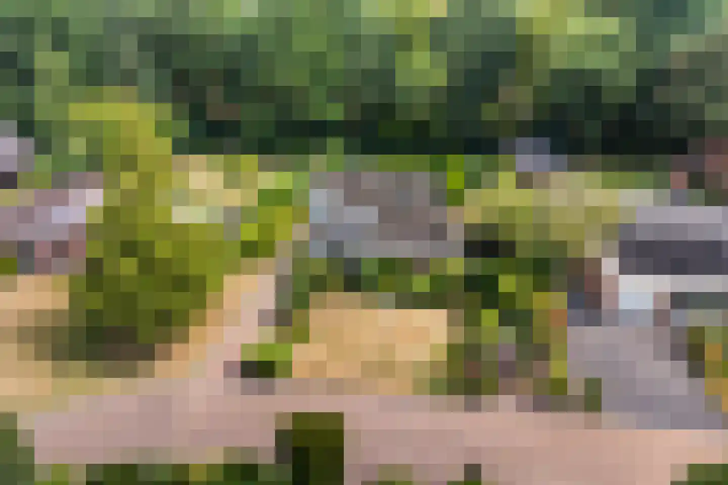 Ruitenkamp 29 Ter Apel thumbnail 5