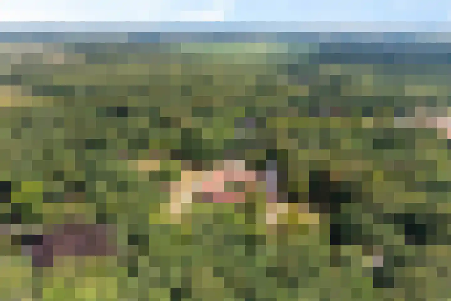 Ruitenkamp 29 Ter Apel thumbnail 50