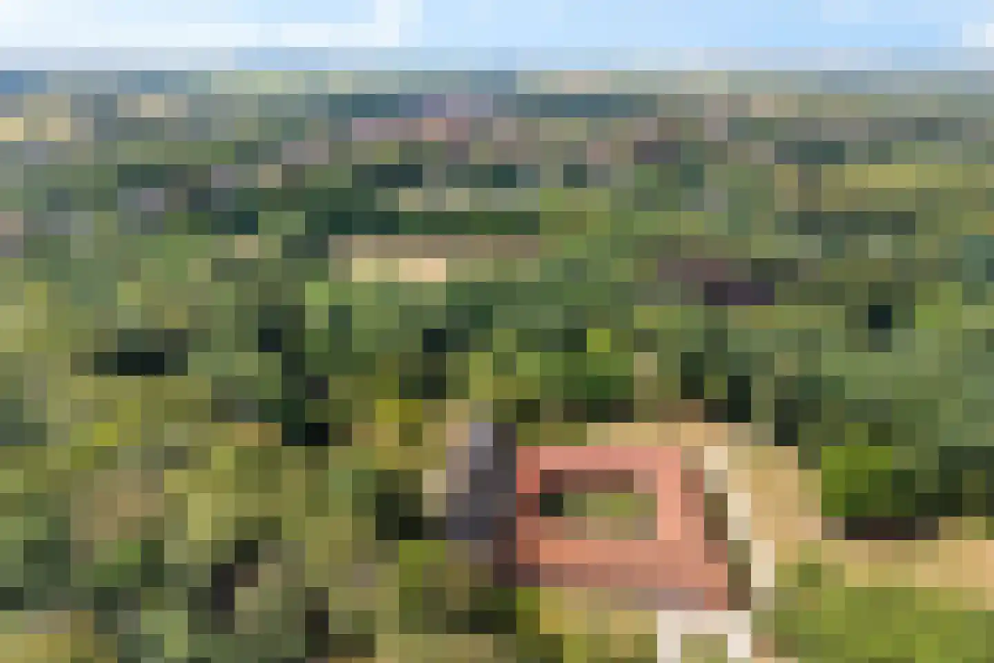 Ruitenkamp 29 Ter Apel thumbnail 51