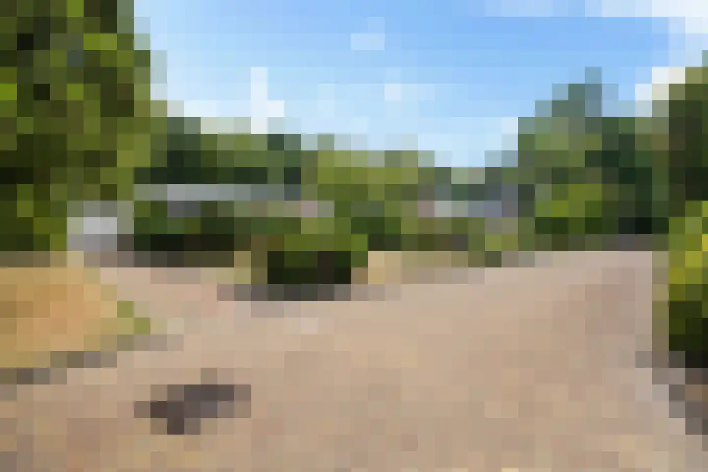 Ruitenkamp 29 Ter Apel thumbnail 7