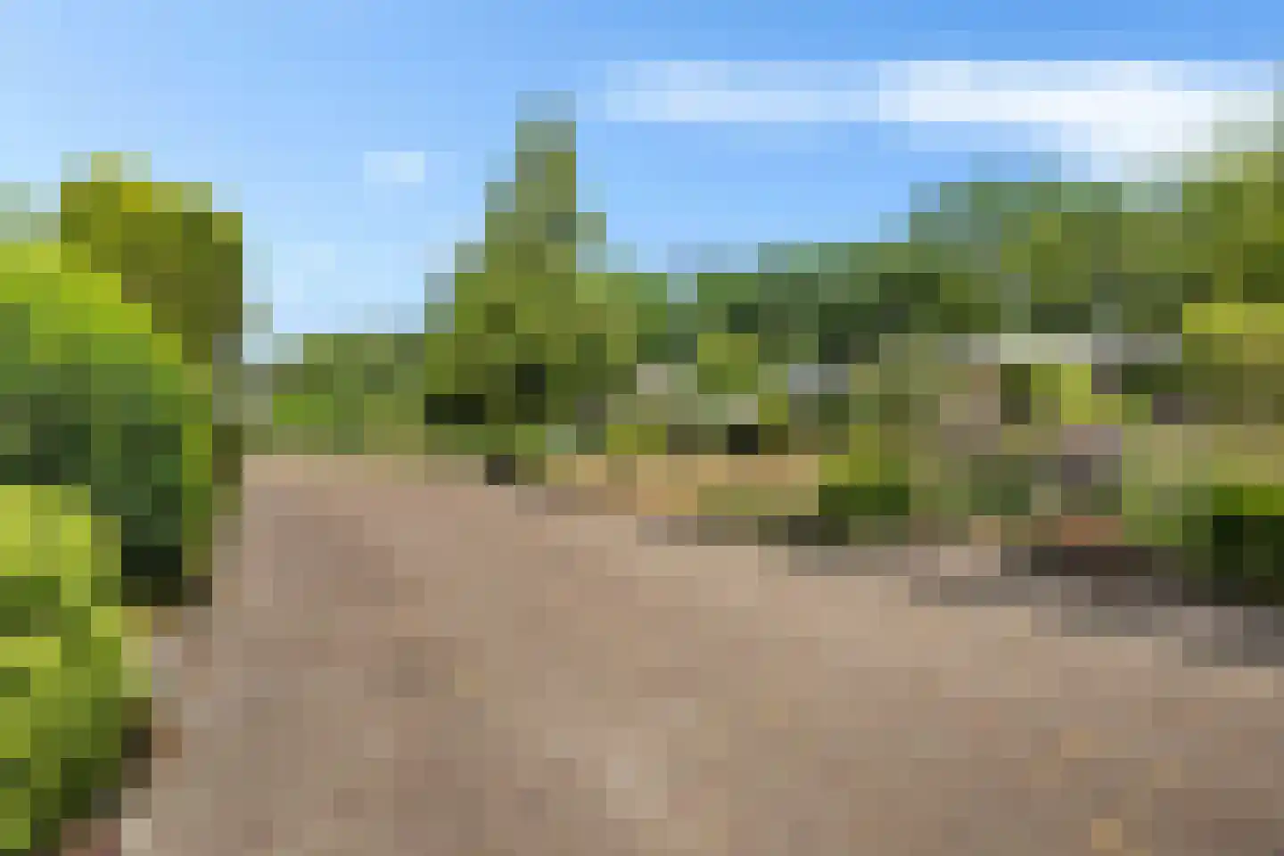 Ruitenkamp 29 Ter Apel thumbnail 8