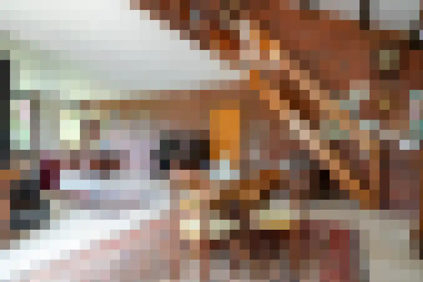 Ruitenkamp 5 Ter Apel thumbnail 18