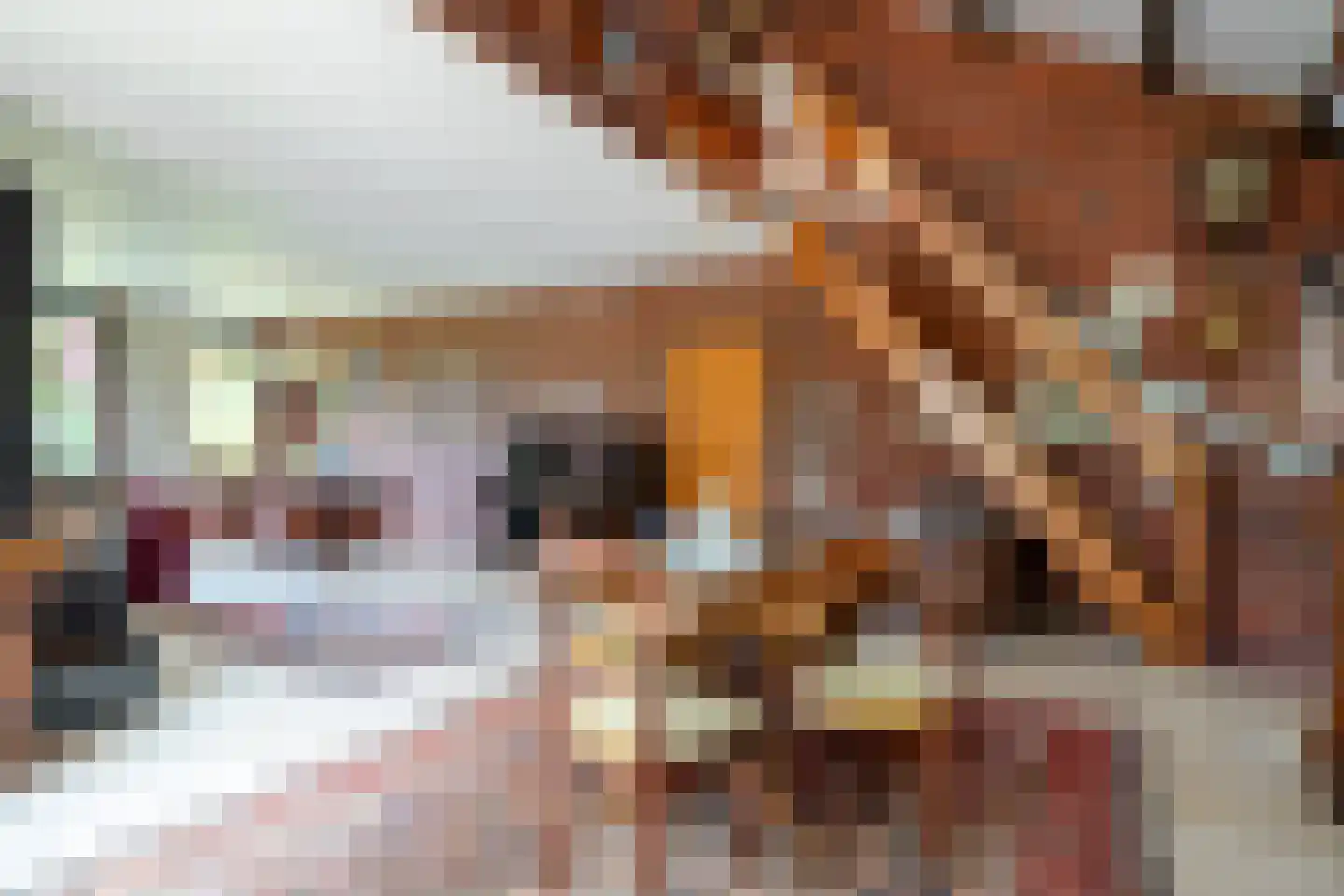 Ruitenkamp 5 Ter Apel thumbnail 18