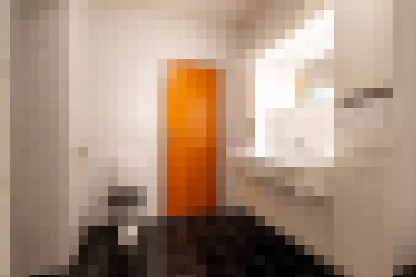 Ruitenkamp 5 Ter Apel thumbnail 51
