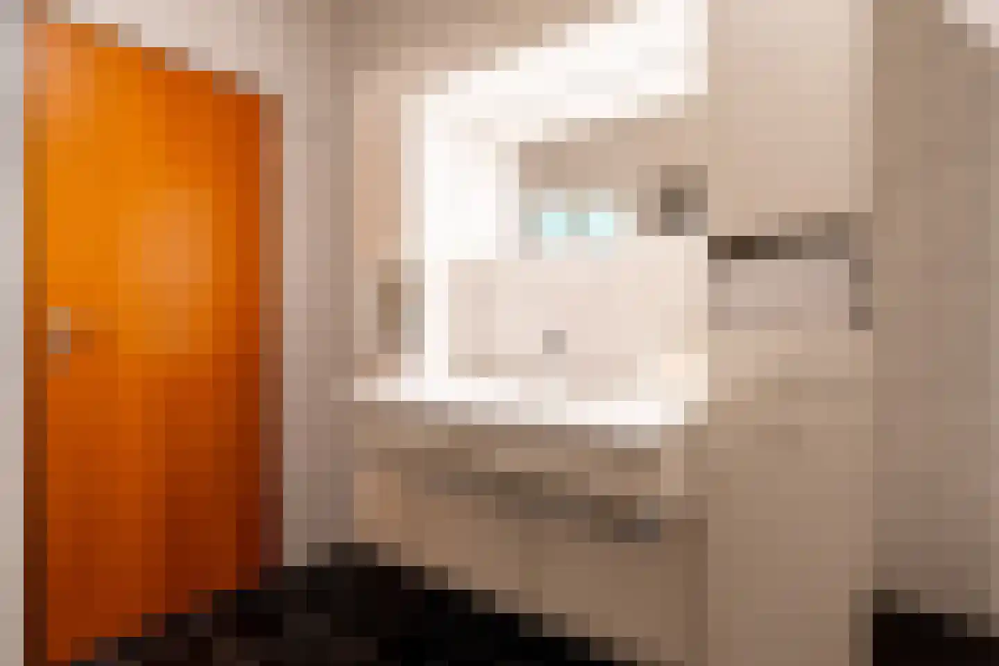Ruitenkamp 5 Ter Apel thumbnail 52