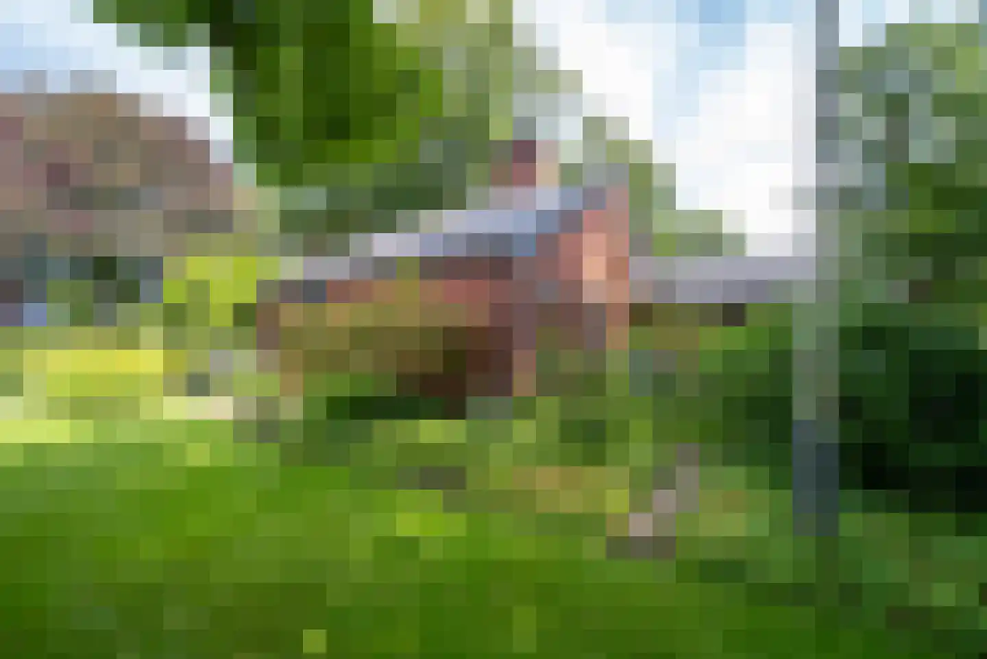 Ruitenkamp 5 Ter Apel thumbnail 6
