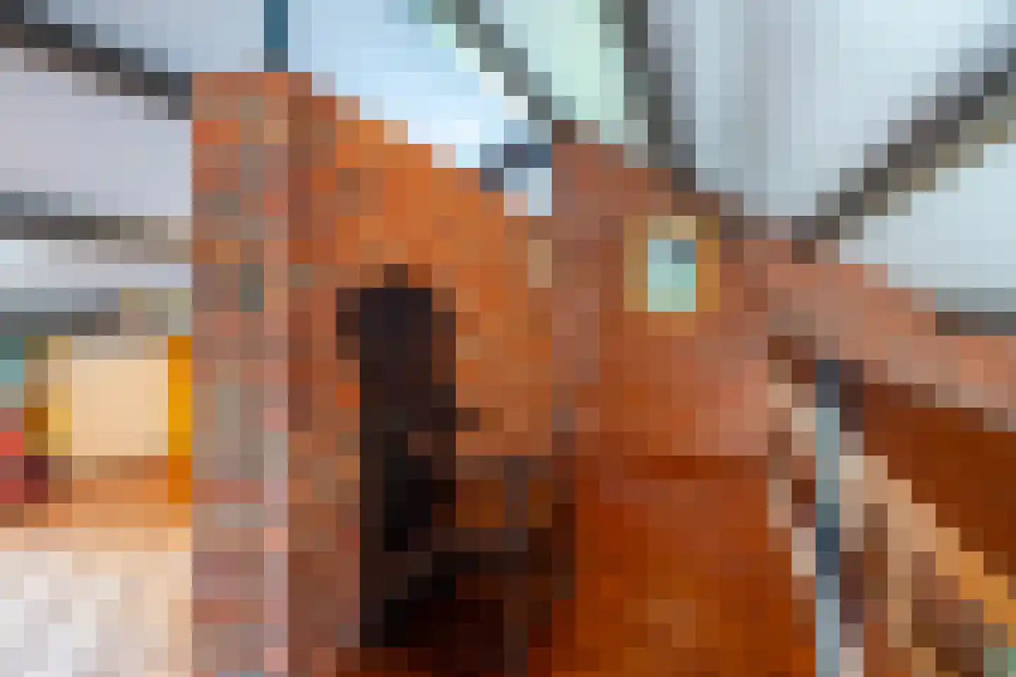 Ruitenkamp 5 Ter Apel thumbnail 62