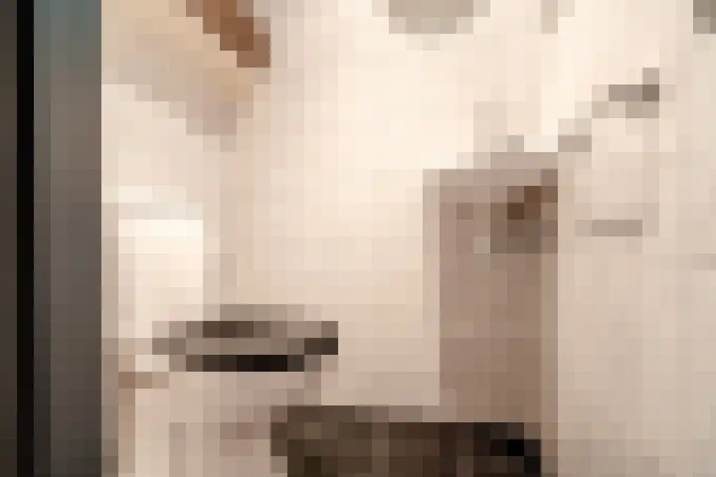 Ruitenkamp 5 Ter Apel thumbnail 71