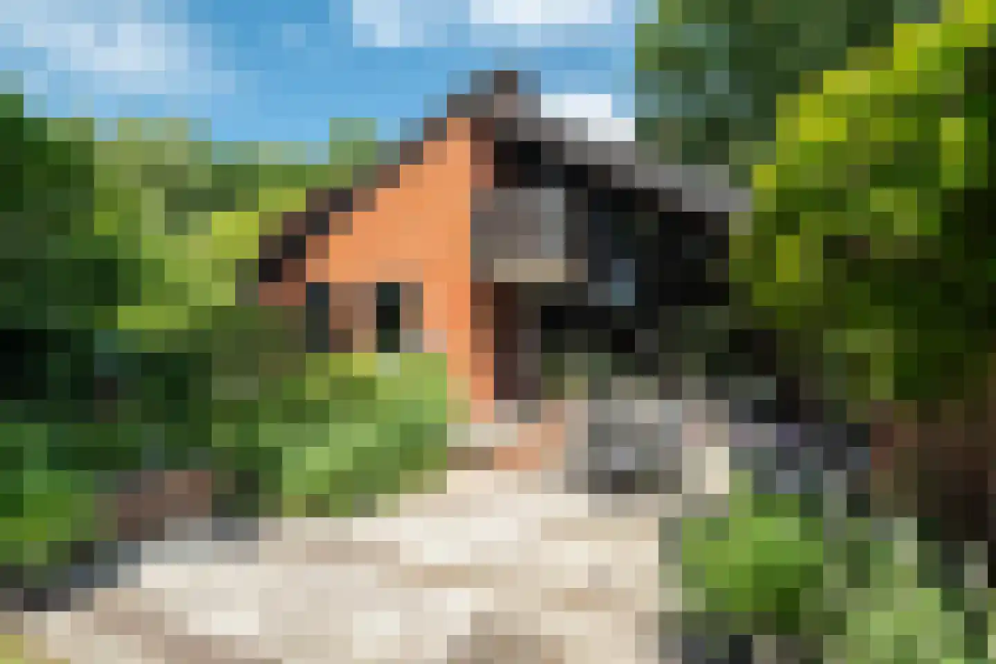 Ruitenkamp 5 Ter Apel thumbnail 72
