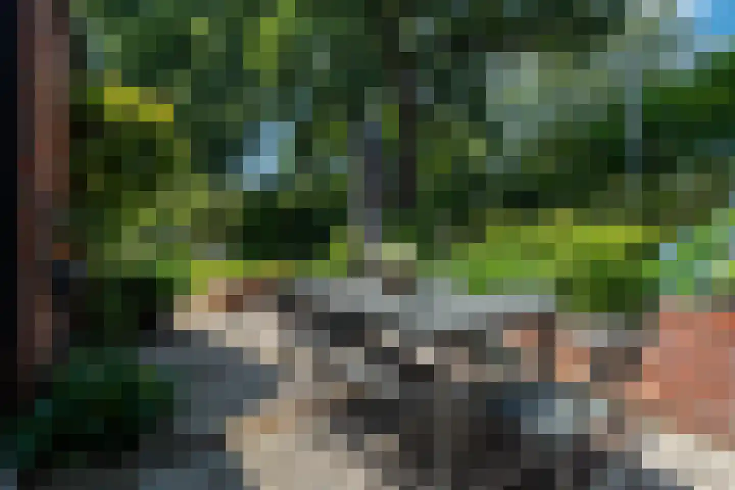 Ruitenkamp 5 Ter Apel thumbnail 75