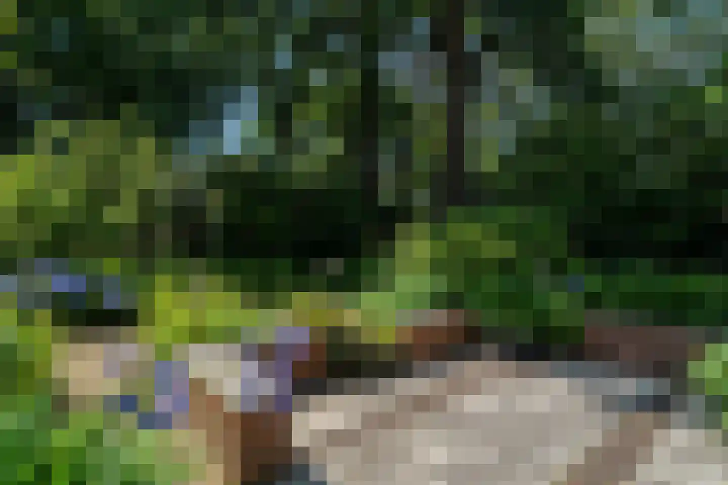 Ruitenkamp 5 Ter Apel thumbnail 77